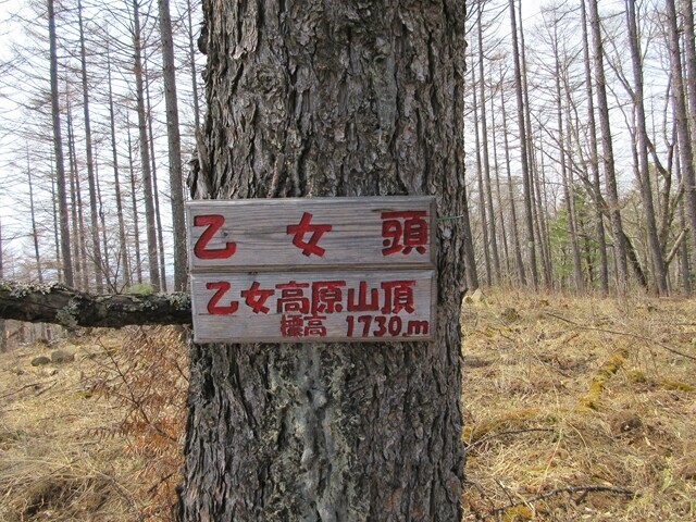 乙女頭の山頂