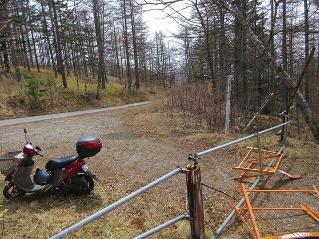 乙女頭への登山口