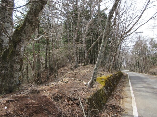 ソッタ頭登山口