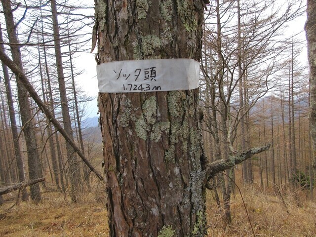 ソッタ頭の山頂