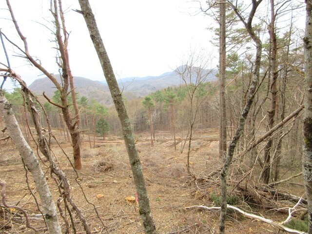 水ヶ森のショートカットルート