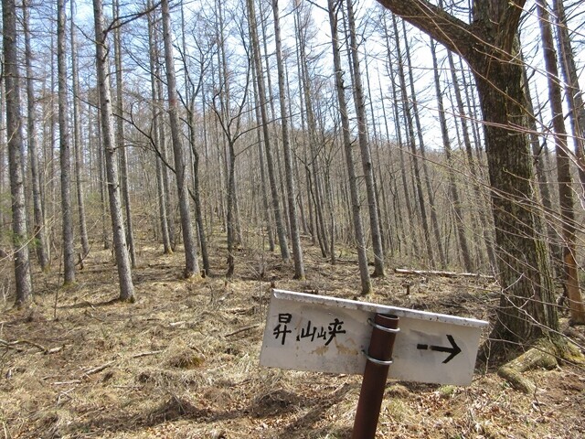 水ヶ森と昇仙峡への分岐地点