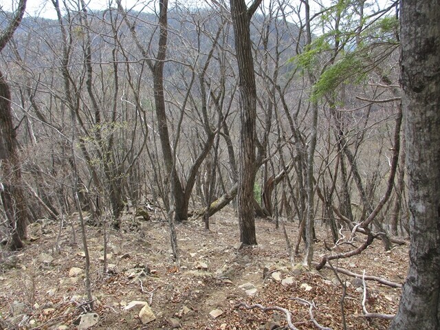 水ヶ森の南東尾根