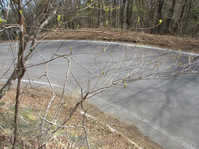 小楢山の登山口である小鼓温泉を目指し登山スタートの様子