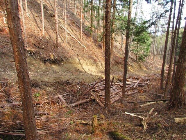 小鼓温泉の近くに出る廃道