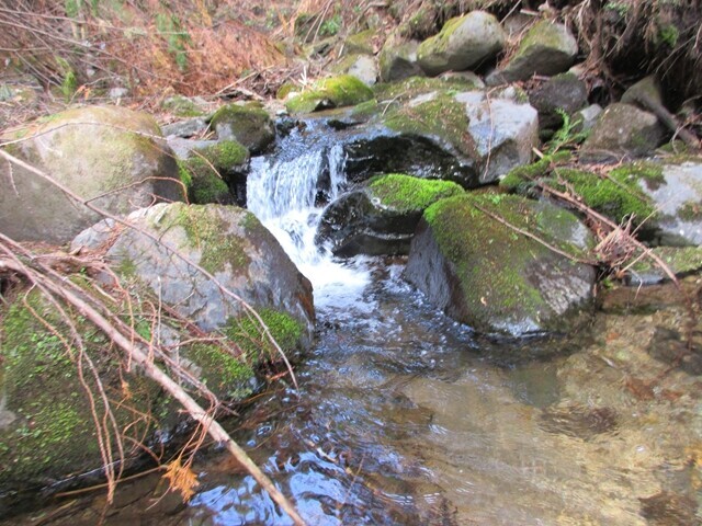 小鼓温泉への登山ルートの様子