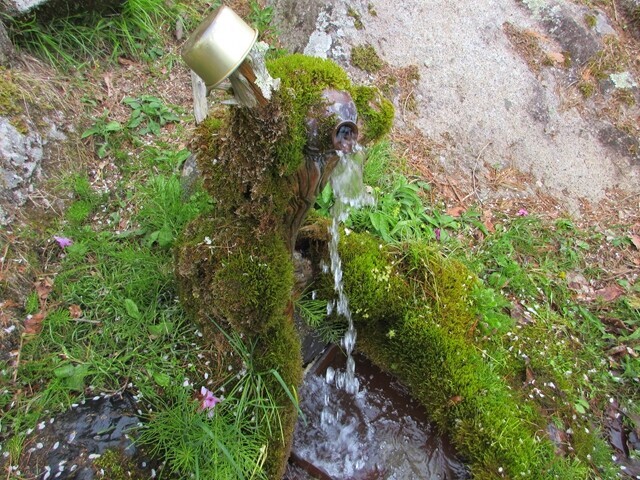 小鼓温泉から水ヶ森方面に登る時に利用できる水場