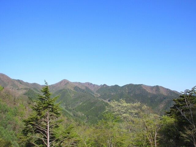 達沢山周辺の景色