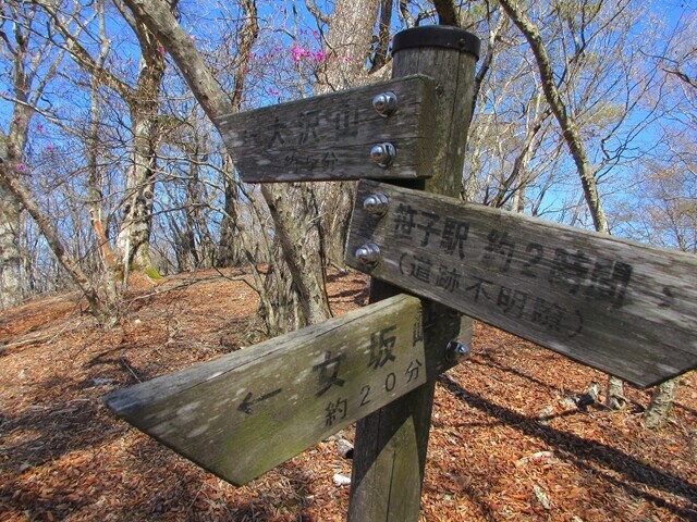 大沢山と女坂峠への分岐