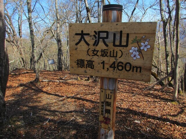 大沢山山頂