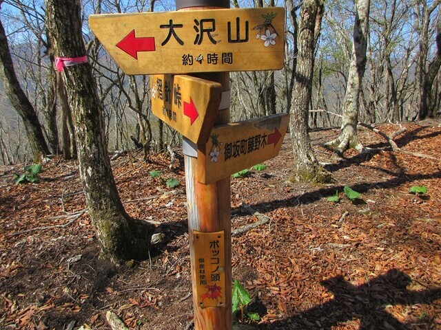 ボッコノ頭に到着