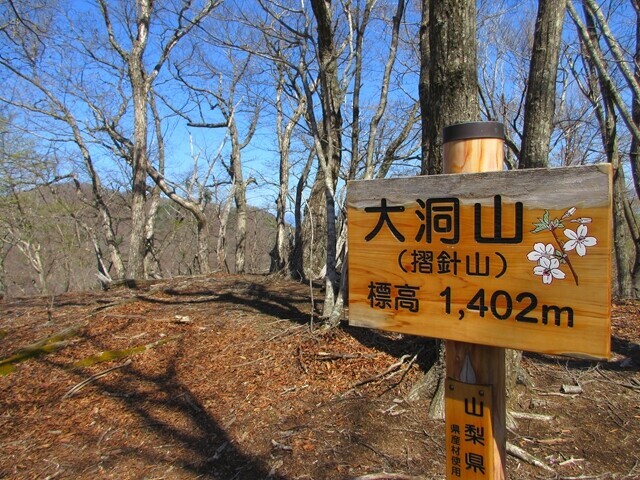 大洞山の山頂