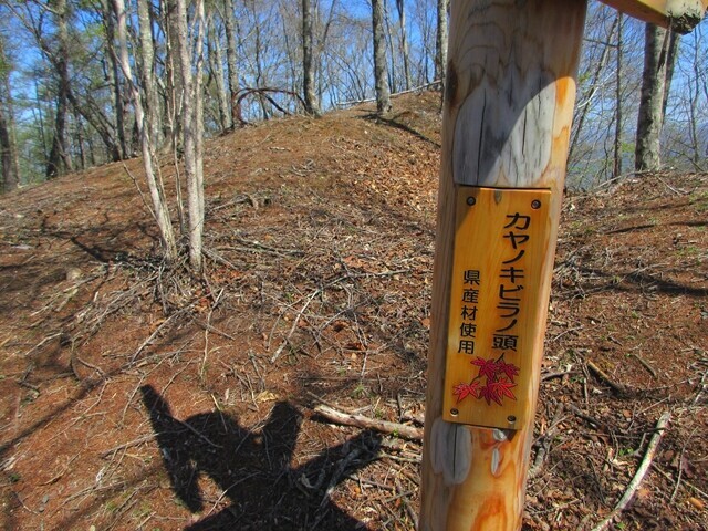 京戸山までのルートと登山道様子