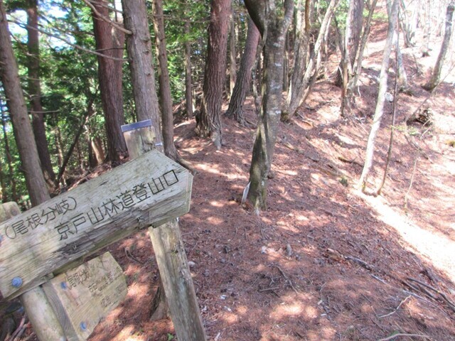 京戸山林道登山口の分岐