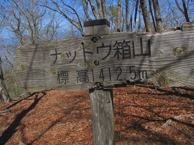ナットウ箱山