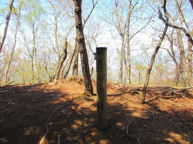 貸し切りの達沢山の山頂