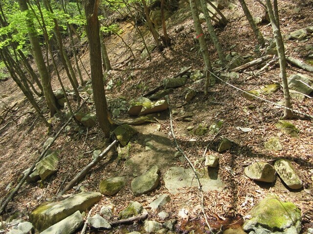山梨百名山大栃山を目指して登山スタートの様子