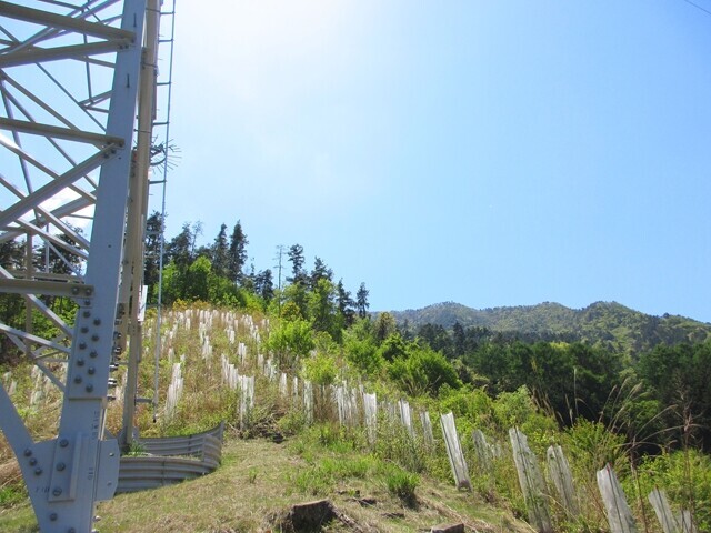 大栃山北尾根バリエーションルート上にある鉄塔