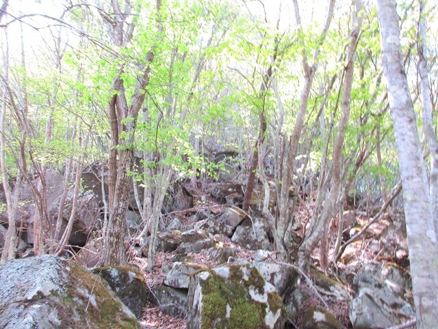 大栃山北尾根の急な岩々地帯