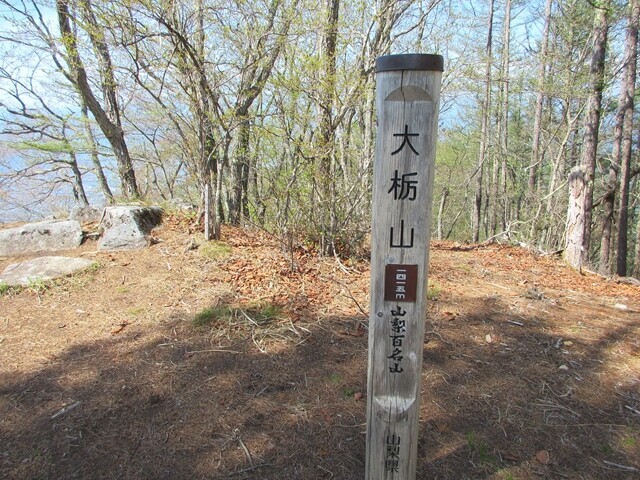 大栃山の山頂