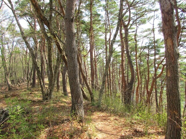 檜峰神社を目指して下山開始の様子