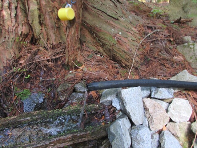 薬王水の水量