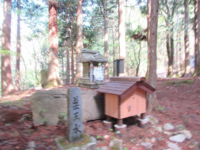 薬王水