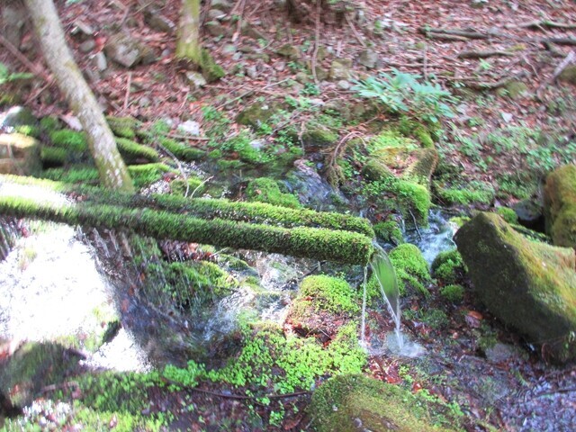 檜峰神社の近くの水場