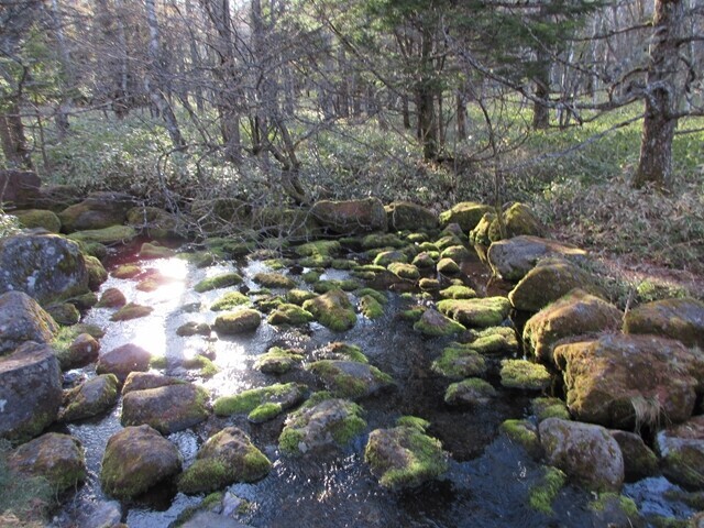 御泉水自然園内の散策路