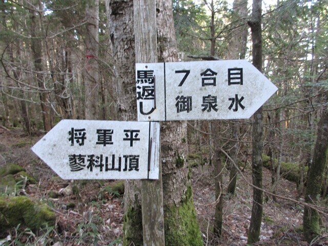 ７合目登山口から蓼科山を目指して登山スタートの様子