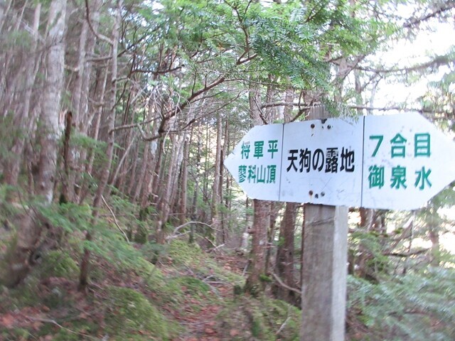 天狗の露地