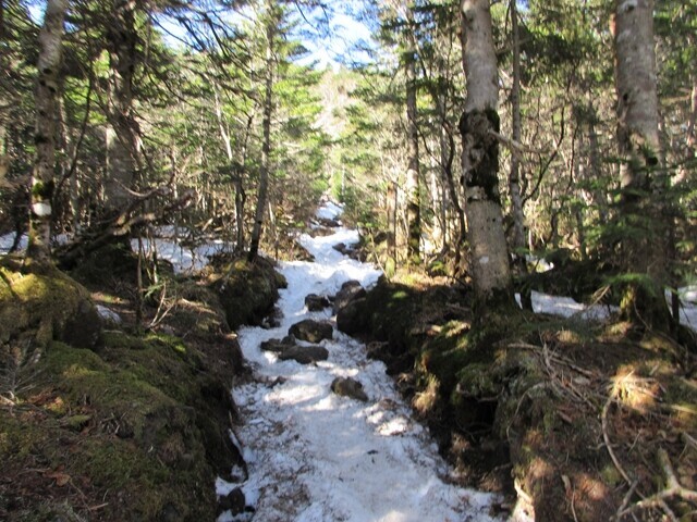 蓼科山荘から蓼科山山頂を目指して登山スタートの様子