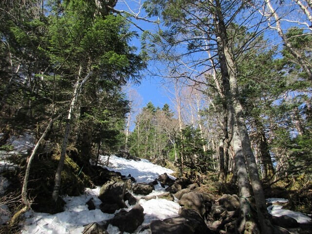 蓼科山登山ルートの積雪