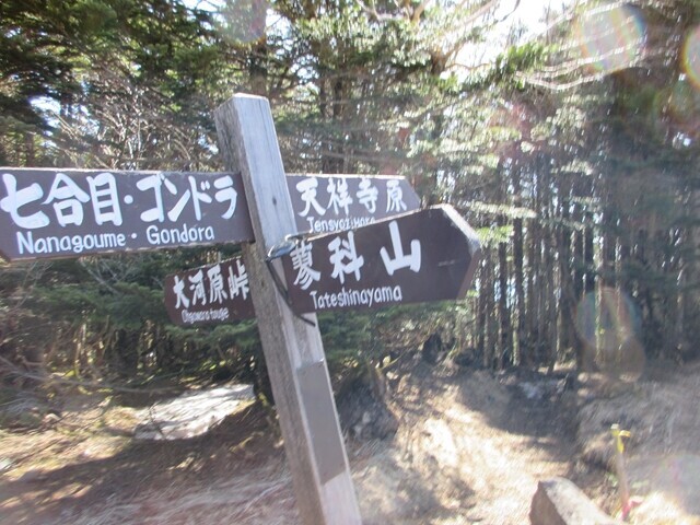 天祥寺原分岐