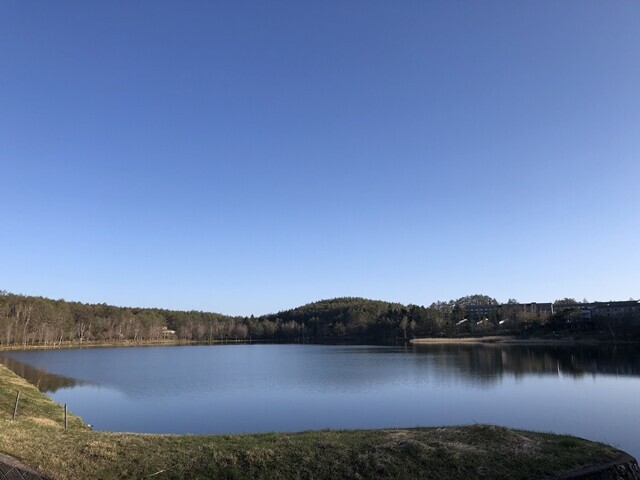 女神湖の全景