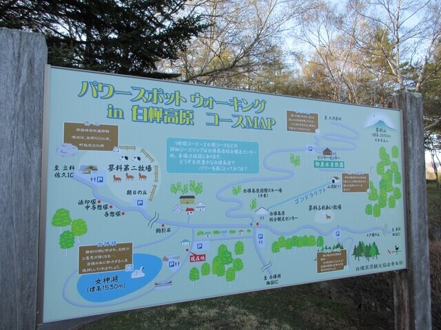 女神湖と白樺高原の散策コース