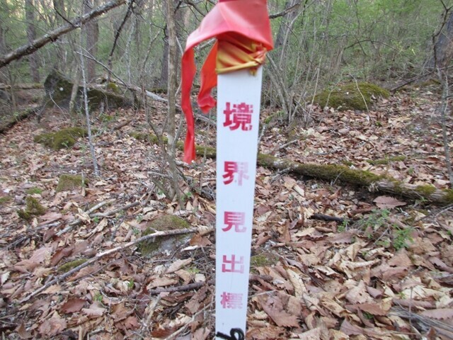 車山への中央分水嶺トレイルは境界沿いを歩く