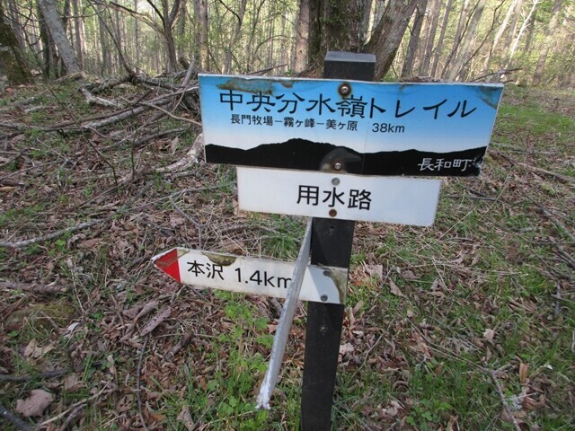 中央分水嶺トレイル本沢分岐の用水路