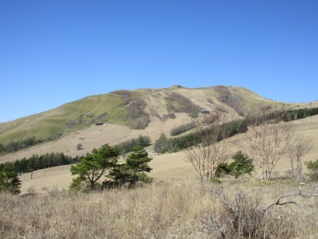 雄大な霧ヶ峰へ登山中の様子