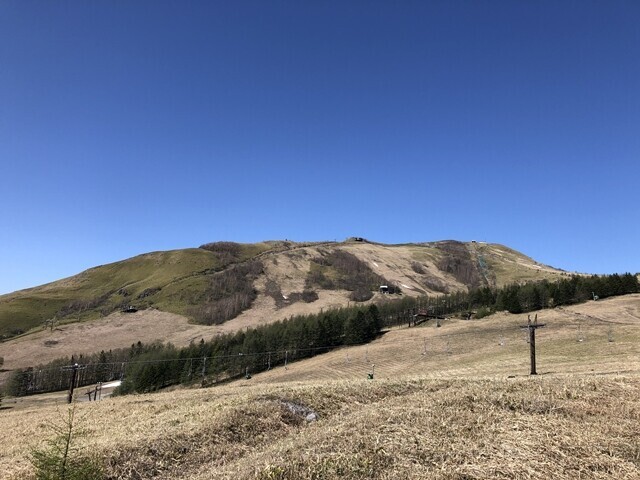 霧ヶ峰登山中の景色