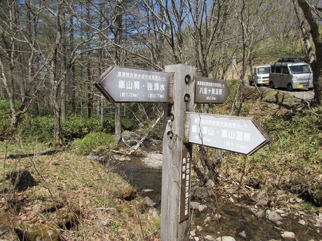蝶々深山、八島湿原の分岐（沢渡）