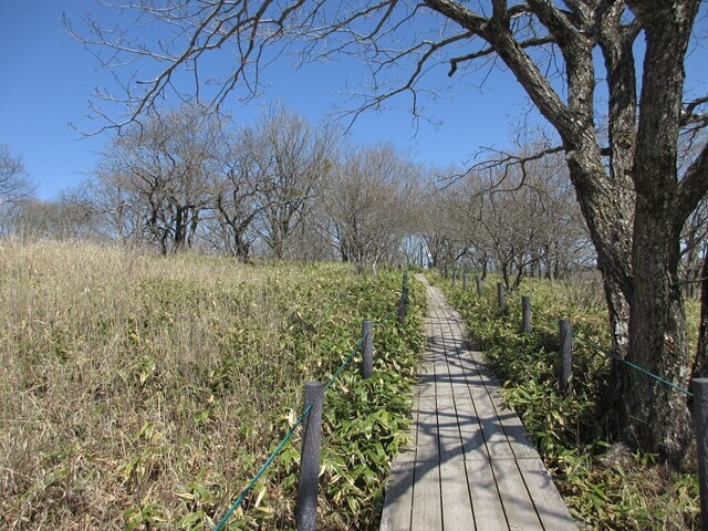 八島湿原の入口