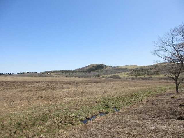 八島湿原とゼブラ山（男女倉山）