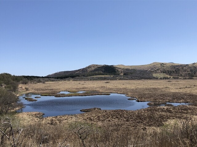 八島湿原ハイキングとゼブラ山景色