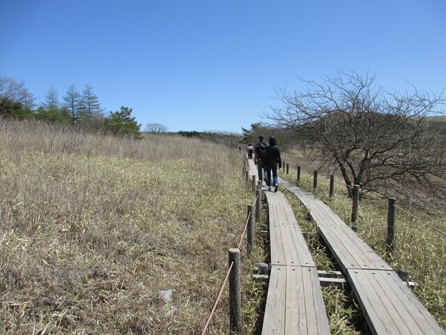 奥霧小屋方面にハイキングの様子
