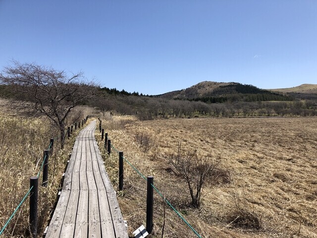 木道とゼブラ山の景色