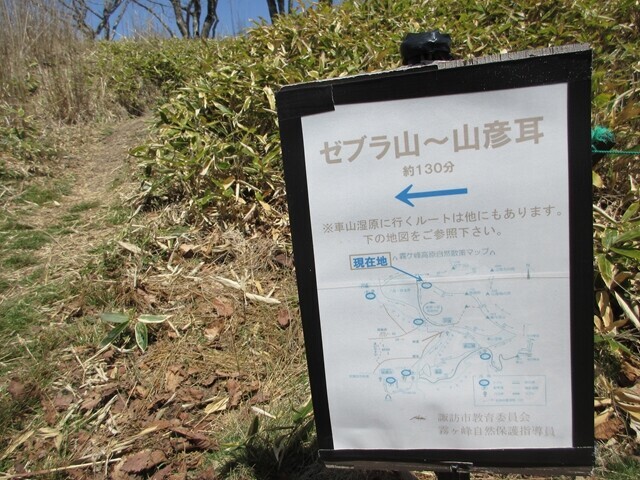 奥霧小屋からゼブラ山、山彦耳（北の耳、南の耳）へ登山再開の様子