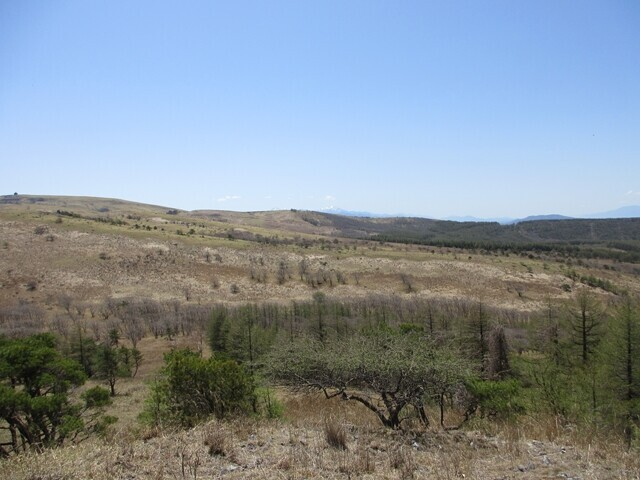 ハイキングしてきた八島湿原を眼下に眺めながらゼブラ山へ登っている様子