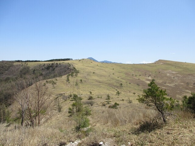 ゼブラ山から眺める北の耳、南の耳風景
