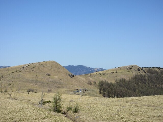 北の耳、南の耳から白樺湖を目指して登山スタートの様子